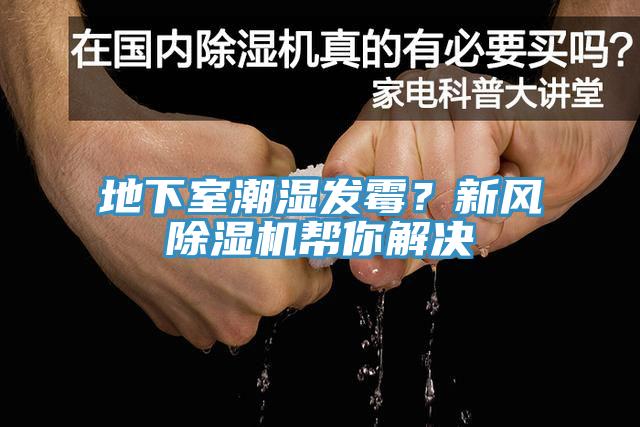 地下室潮濕發黴？新風杏仁视频APP成人官方污幫你解決
