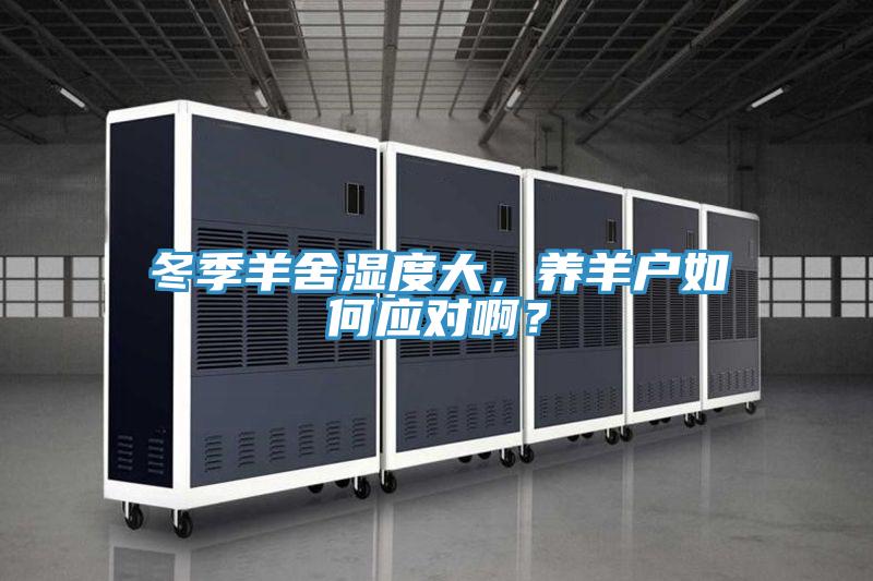 冬季羊舍濕度大，養羊戶如何應對啊？