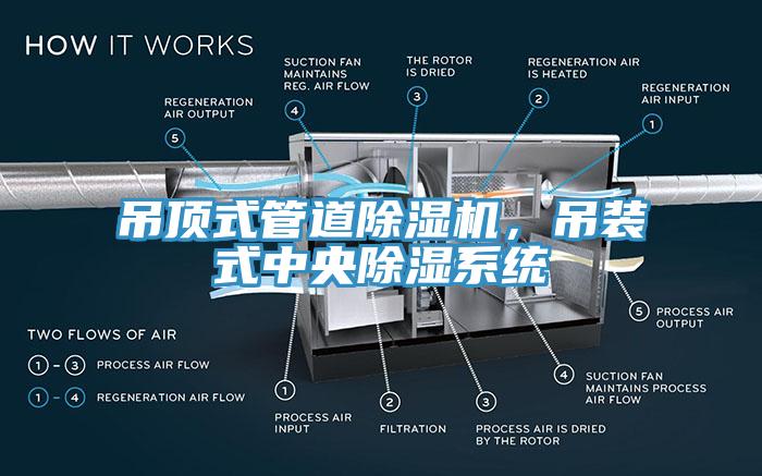 吊頂式管道杏仁视频APP成人官方污，吊裝式中央除濕係統
