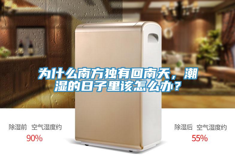為什麽南方獨有回南天，潮濕的日子裏該怎麽辦？