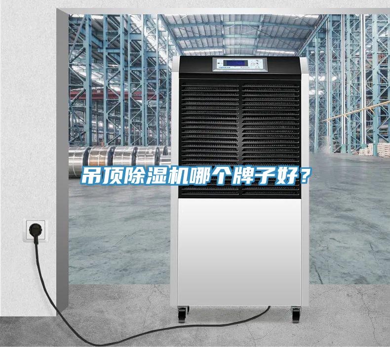 吊頂杏仁视频APP成人官方污哪個牌子好？