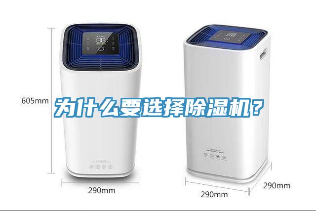 為什麽要選擇杏仁视频APP成人官方污？