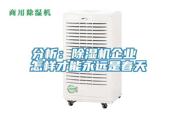 分析：杏仁视频APP成人官方污企業 怎樣才能永遠是春天
