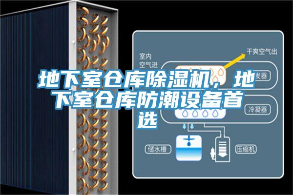 地下室倉庫杏仁视频APP成人官方污，地下室倉庫防潮設備首選
