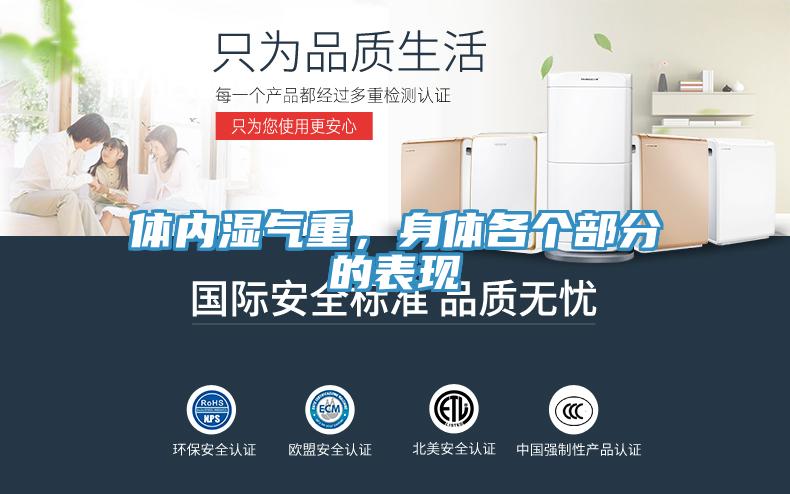 體內濕氣重，身體各個部分的表現
