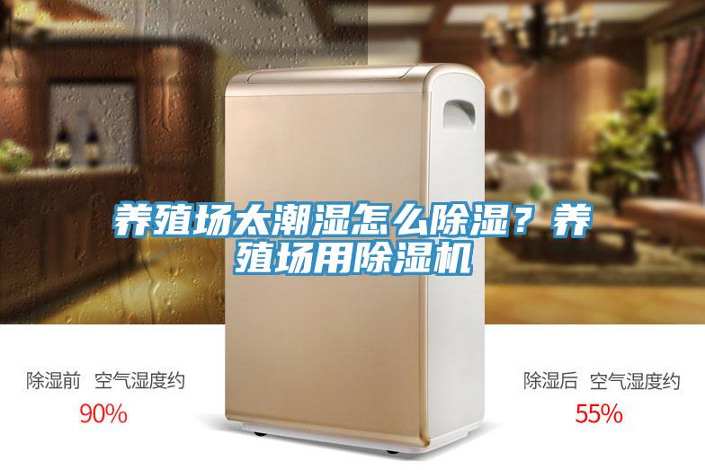 養殖場太潮濕怎麽除濕？養殖場用杏仁视频APP成人官方污