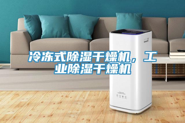 冷凍式除濕幹燥機，工業除濕幹燥機