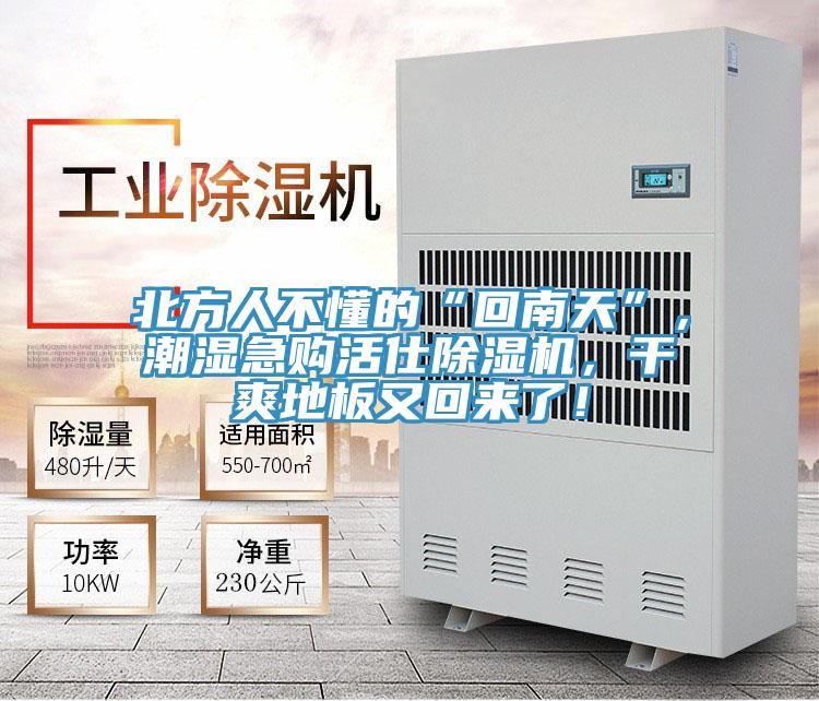 北方人不懂的“回南天”，潮濕急購活仕杏仁视频APP成人官方污，幹爽地板又回來了！