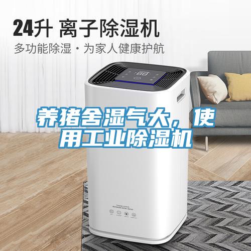 養豬舍濕氣大，使用工業杏仁视频APP成人官方污