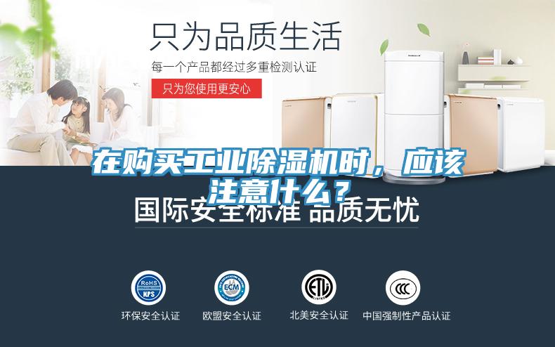 在購買工業杏仁视频APP成人官方污時，應該注意什麽？