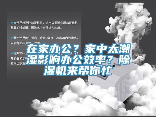 在家辦公？家中太潮濕影響辦公效率？杏仁视频APP成人官方污來幫你忙