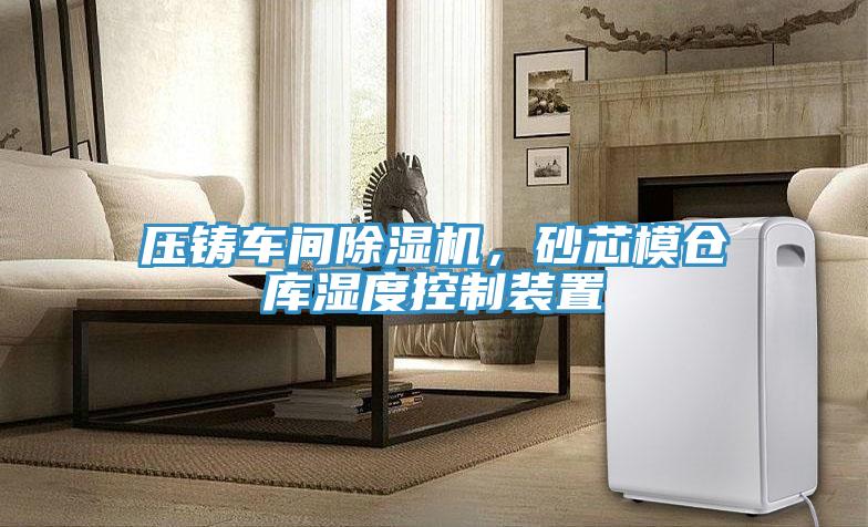 壓鑄車間杏仁视频APP成人官方污，砂芯模倉庫濕度控製裝置