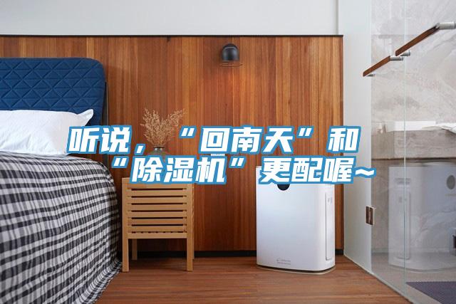 聽說，“回南天”和“杏仁视频APP成人官方污”更配喔~