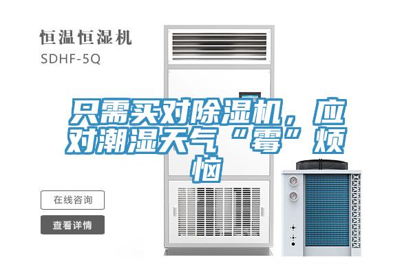 隻需買對杏仁视频APP成人官方污，應對潮濕天氣“黴”煩惱
