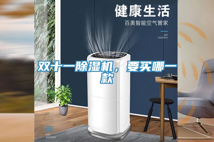 雙十一杏仁视频APP成人官方污，要買哪一款