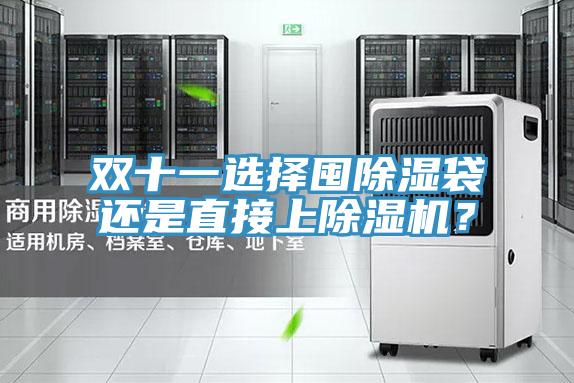 雙十一選擇囤除濕袋還是直接上杏仁视频APP成人官方污？