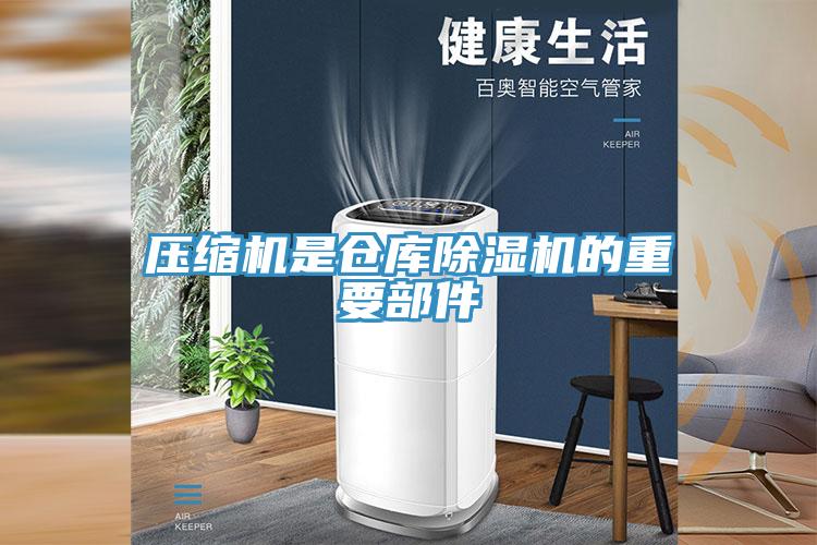 壓縮機是倉庫杏仁视频APP成人官方污的重要部件