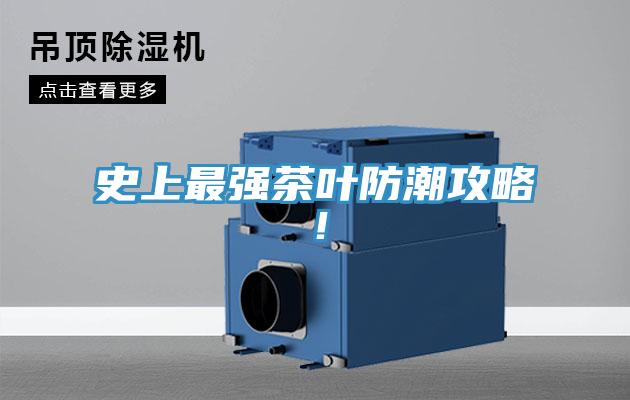 史上最強茶葉防潮攻略！