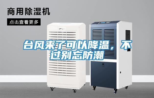 台風來了可以降溫，不過別忘防潮