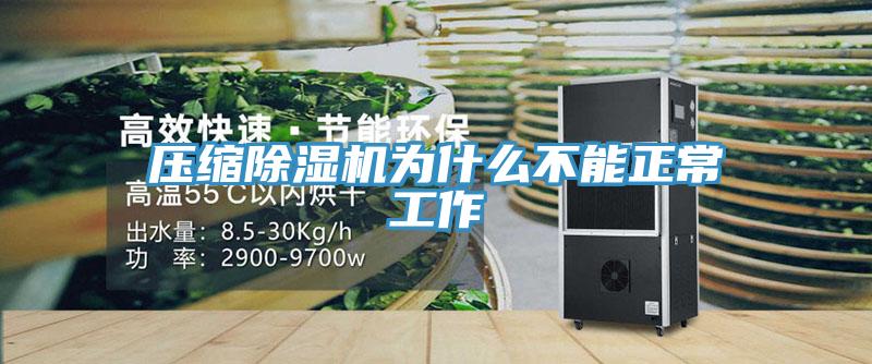 壓縮杏仁视频APP成人官方污為什麽不能正常工作