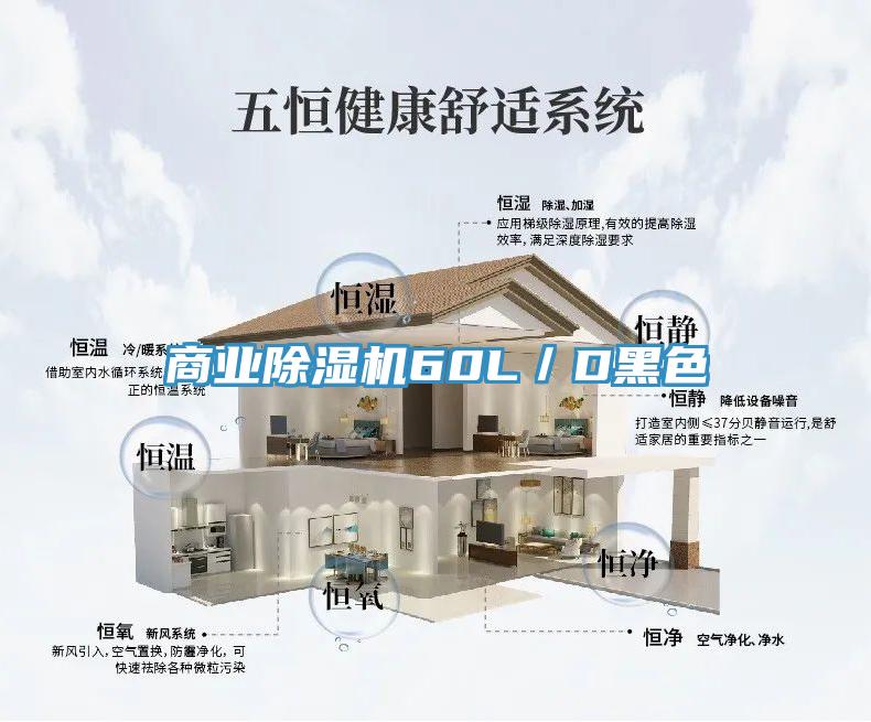 商業杏仁视频APP成人官方污60L／D黑色