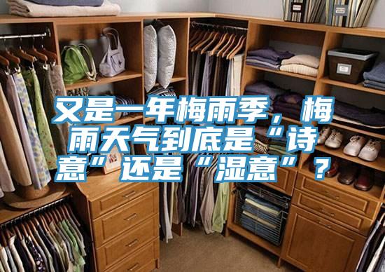 又是一年梅雨季，梅雨天氣到底是“詩意”還是“濕意”？