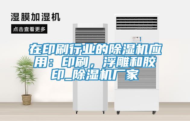 在印刷行業的杏仁视频APP成人官方污應用：印刷，浮雕和膠印_杏仁视频APP成人官方污廠家