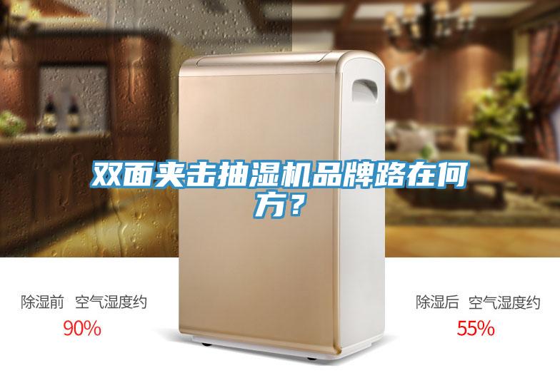 雙麵夾擊抽濕機品牌路在何方？