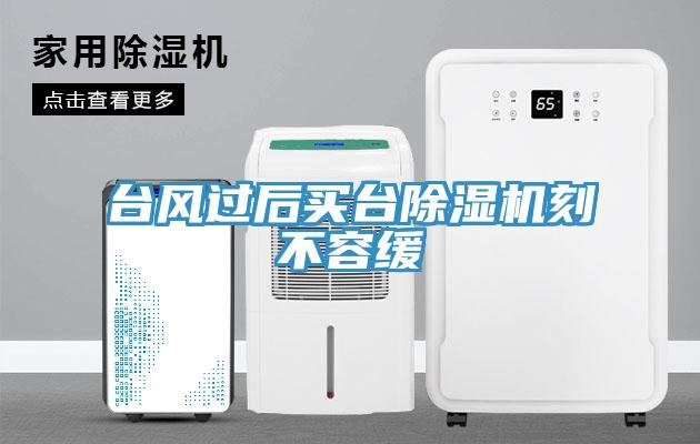 台風過後買台杏仁视频APP成人官方污刻不容緩