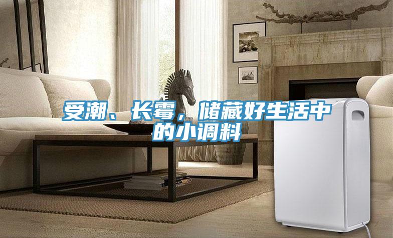 受潮、長黴，儲藏好生活中的小調料