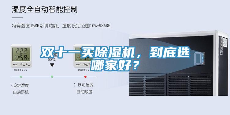 雙十一買杏仁视频APP成人官方污，到底選哪家好？