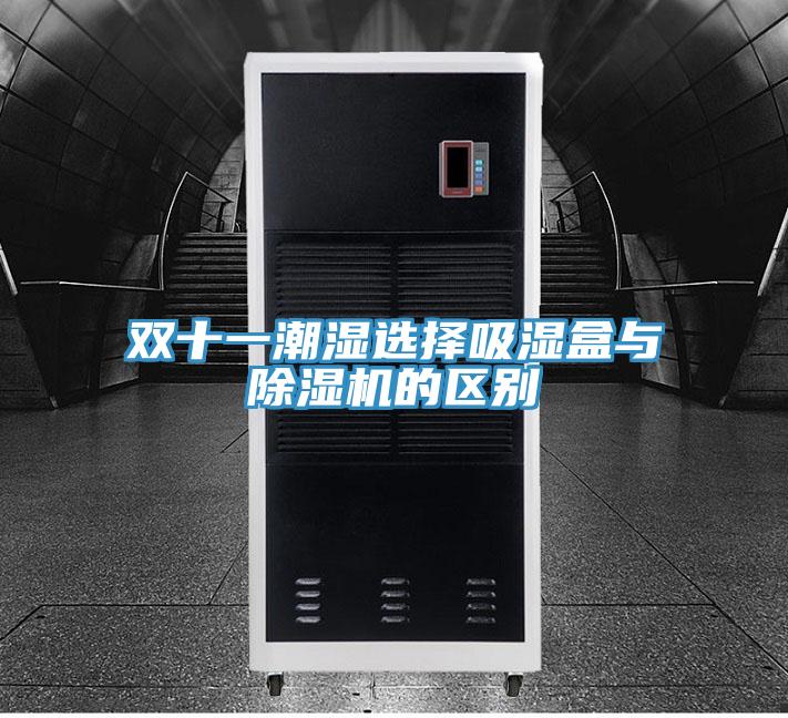 雙十一潮濕選擇吸濕盒與杏仁视频APP成人官方污的區別