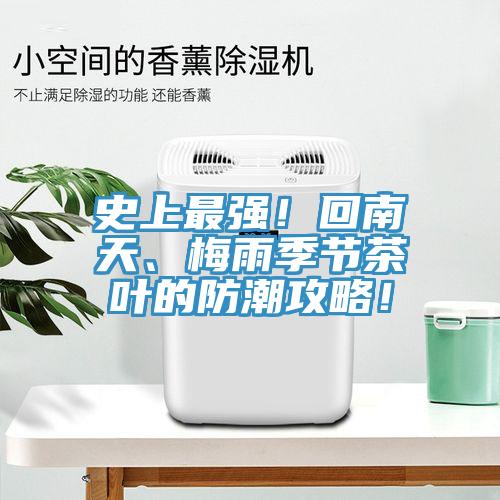史上最強！回南天、梅雨季節茶葉的防潮攻略！