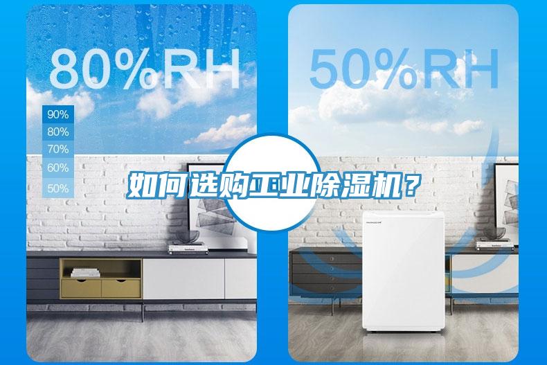 如何選購工業杏仁视频APP成人官方污？