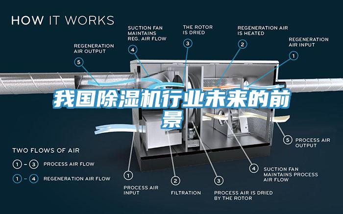 我國杏仁视频APP成人官方污行業未來的前景