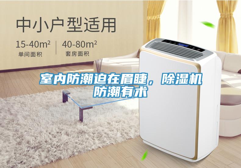 室內防潮迫在眉睫，杏仁视频APP成人官方污防潮有術