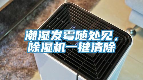 潮濕發黴隨處見，杏仁视频APP成人官方污一鍵清除