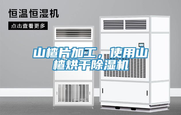 山楂片加工，使用山楂烘幹杏仁视频APP成人官方污