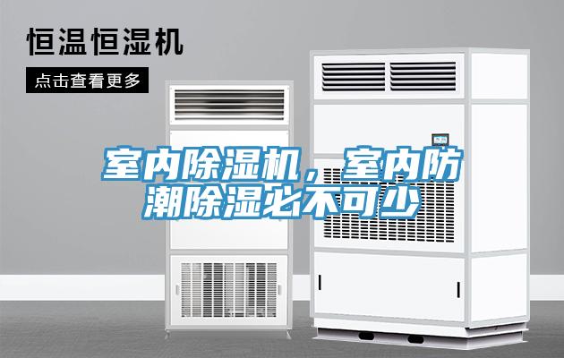 室內杏仁视频APP成人官方污，室內防潮除濕必不可少