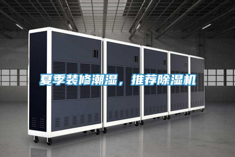 夏季裝修潮濕，推薦杏仁视频APP成人官方污