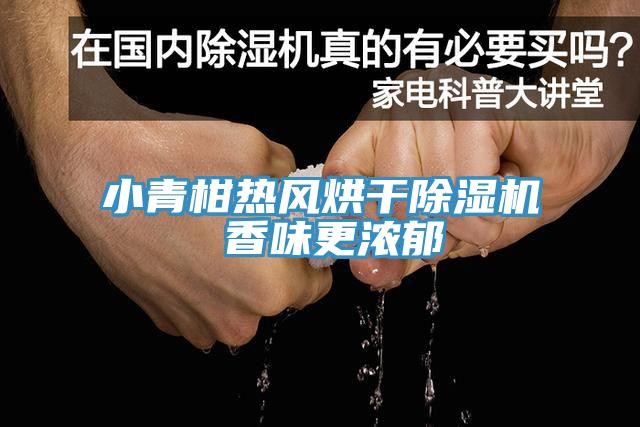小青柑熱風烘幹杏仁视频APP成人官方污 香味更濃鬱