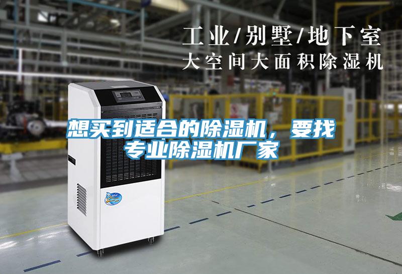 想買到適合的杏仁视频APP成人官方污，要找專業杏仁视频APP成人官方污廠家