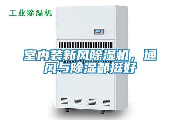 室內裝新風杏仁视频APP成人官方污，通風與除濕都挺好