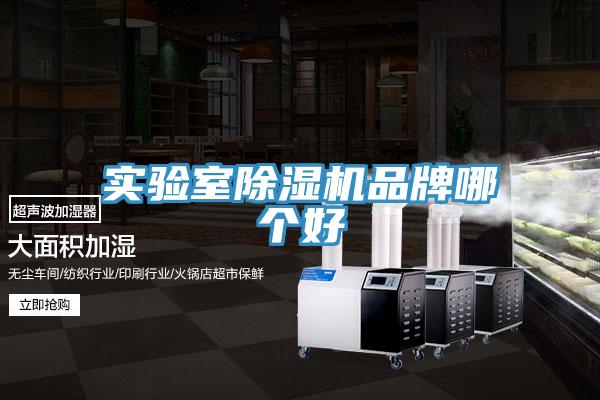 實驗室杏仁视频APP成人官方污品牌哪個好
