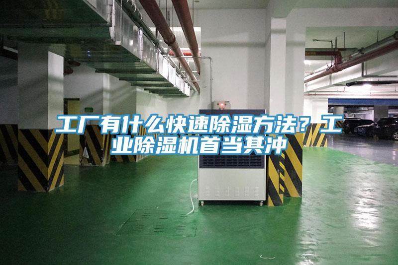 工廠有什麽快速除濕方法？工業杏仁视频APP成人官方污首當其衝