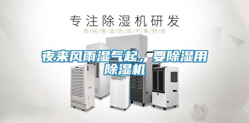 夜來風雨濕氣起，要除濕用杏仁视频APP成人官方污