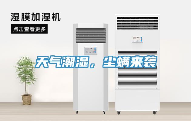 天氣潮濕，塵蟎來襲