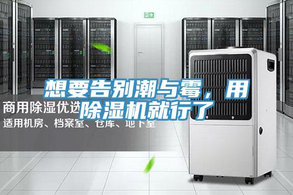 想要告別潮與黴，用杏仁视频APP成人官方污就行了
