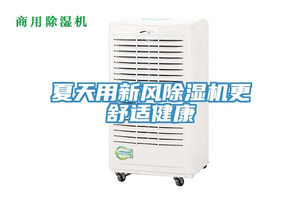 夏天用新風杏仁视频APP成人官方污更舒適健康