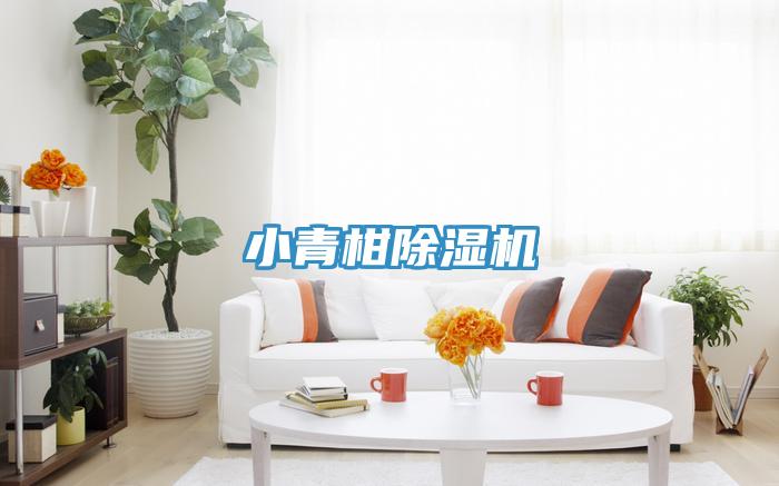 小青柑杏仁视频APP成人官方污